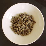 �c�o���̑��ƒ�����
