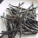 �c�o���̑��ƒ�����